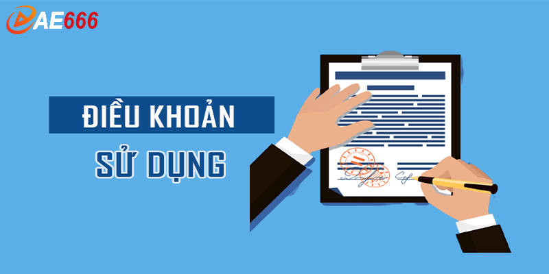 Nội dung chính trong điều khoản và điều kiện