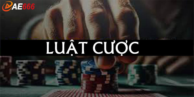 Mỗi trò chơi đều có quy tắc riêng, vì vậy hãy tìm hiểu kỹ trước khi đặt cược Casino Ae666.