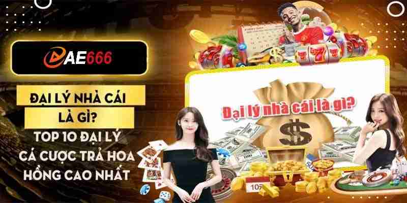 Điều kiện và quy trình ứng tuyển đại lý AE666