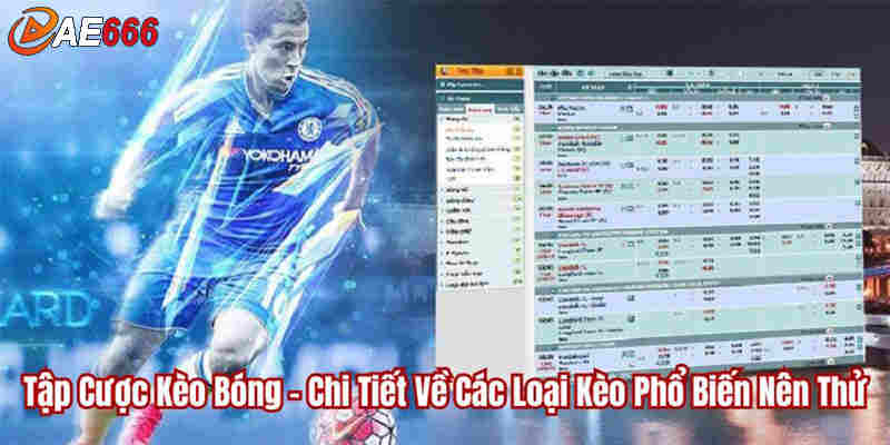 Đa dạng các loại kèo cược thể thao AE666